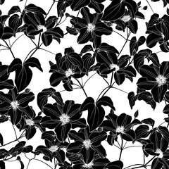 Wall Mural - Vintage Blooming branch of Clematis Hand drawn elements. Black fill on white Seamless pattern vector. Floral background for design packaging textile wallpaper