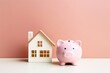 A piggy bank for house savings.