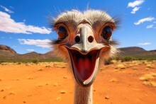 Close Up Of A Ostrich Looking Into The Camera.