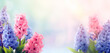 Beautiful spring background with hyacinths in pastel colors, copy space