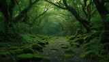 Fototapeta Natura - Mysterious forest, dark and wet, a tranquil scene of beauty generated by AI