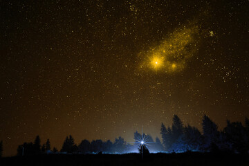 Wall Mural - Dark forest under starry sky at night