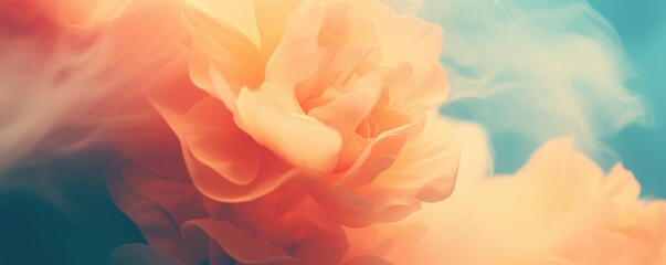 abstract romantic beautiful background with flowers for valentine's day holiday. horizontal banner w