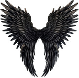 Fototapeta Pokój dzieciecy - Black angel wings isolated on transparent background. PNG