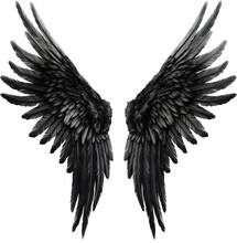 Black Angel Wings Isolated On Transparent Background. PNG