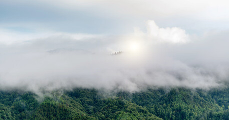 Sticker - Landscape of mountain covered fog