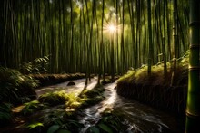 Sunlight filtering through dense bamboo groves, creating patterns of light and shadow on the forest floor beside a tranquil stream