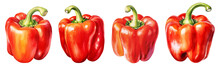 Red Bell Pepper Png Collection