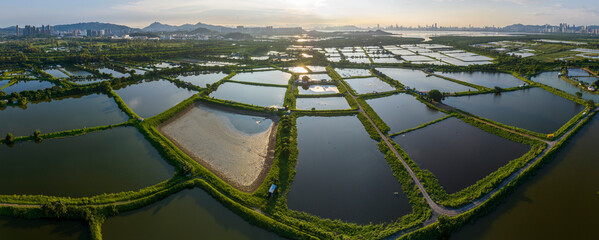 Canvas Print - Tai Sang Wai Drought Fish Ponds.