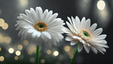 Fototapeta Kwiaty - Piękne kwiaty, gerbery, dekoracja ścienna, tło,  generative ai