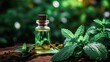 Peppermint essential oil: a natural remedy for digestion, respiratory problems, and pain relief