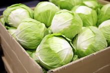 Stacked Cabbages With Ruffled Green Outer Leaves And Dense White Centers Fill A Wooden Crate, Ready For Transport Or Sale At A Farmer's Market. High Quality Illustration.