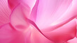 © ckybe - A giant, luminous, closeup of a pink flower petal offers a unique, abstract texture.