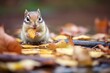 chipmunk amidst fallen autumn leaves with food