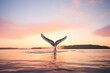 whale tail flipping above water at sunset