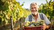 Portrait of happy senior man with basket of grapes in vineyard.
