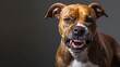 Angry dog snarling at the camera. Aggressive dog shows dangerous teeth. Generative AI