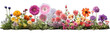 Gardening Flower beauty blossoming 3d rendering PNG
