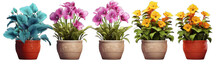 Four Plants With Colorful Flowers In Pots On Transparent Background PNG