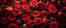 Natural And Fresh Red Roses Flowers Pattern Wallpaper Background
