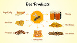 Fototapeta Dinusie - honey, bee bread, pollen, royal jelly, propolis and wax isolated