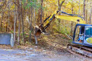 Wall Mural - In order to prepare land for construction builder uproots trees at forest using tractor