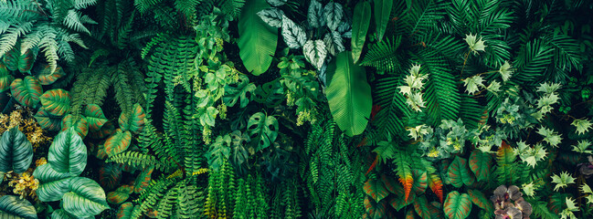 Close up group of background green leaves texture and Abstract Nature Background. Lush Foliage Textures. Exotic Greenery and Botanical Patterns.