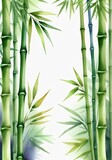 Fototapeta Sypialnia - Watercolor Painting Bamboo