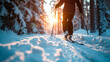 Cross-country skier in snowy forest at sunset. Shallow field of view.
