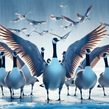 Canada Geese On Ice. Ai Generative