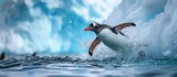 Antarctic Gentoo penguin diving into the ocean from an iceberg.