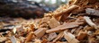 Wood chips are a renewable energy resource used for combustion in energy engineering.