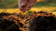 © dlogvin - Closeup of woman gardner farmer hands gently scattering seeds into fertilizer soil. Concept of organic bio farming in agriculture and spring gardening. Sowing season. Manual sprinkling seeds in ground