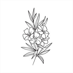 Decorative abstract oleander hand-drawn flower bouquet of line art design. Easy sketch art of Oleander flower outline.
