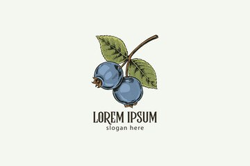 hand-drawn colorful blueberry with leaf logo design, illustration retro style, vintage logo design