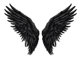 Fototapeta Pokój dzieciecy - Black angel wings isolated on white or transparent background