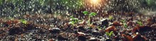 Small Fresh Plant Growing On The Ground In The Rain With Nature Bokeh Background. Carbon Credit Concept. Carbon Offsets, Carbon Credits For Reforestation, Banner