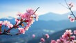  a close up of a tree with pink flowers in the foreground and a mountain range in the back ground.