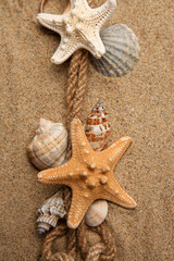 Wall Mural - Beautiful sea stars, shells and rope on sand, flat lay