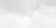 © MdLothfor - Modern Abstract white lines futuristic triangle technology backdrop. white technology background. Space design concept. Decorative web layout or poster, banner. White grey background vector design.
