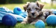 cute puppy with blue toys lying on a bed, generative AI