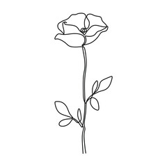 Wall Mural - Poppy flower in one continuous line art drawing. Abstract plant botanical garden