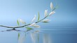Serene white buds casting a tranquil reflection on the calm water surface, symbolizing purity and peace.