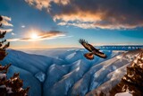 Fototapeta  - Red-tailed Hawk flying over the blue mountains with sunset sky