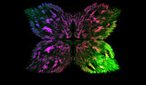 Fototapeta Psy - all the colours of a rainbow a single fully opened butterfly in exploding style isolated on a black background