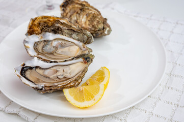 Fresh big french, dutch, pacific or japanese oysters molluscs, size number 1, served with fresh lemon, raw sea food