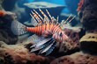 lionfish with extended pectoral fins among rocks