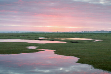 Wall Mural - golden sunset over farm fields and small lake. colorful clouds reflect in the water