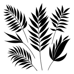 Wall Mural - minimal tropical leave vector silhouette, black color silhouette, white background