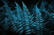 up close plants exotic header website banner web design background frond blue toned leaves fern background nature turquoise dark beautiful